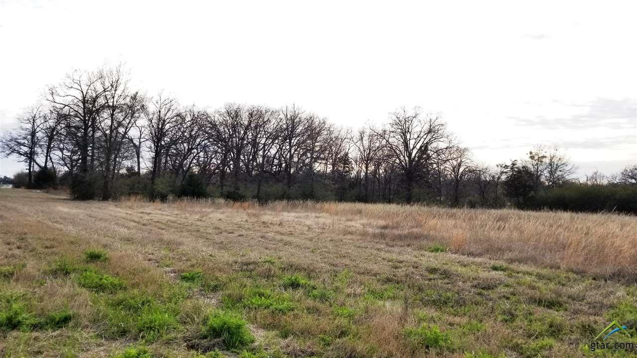 CR 1010 and Hwy 37: CR 1010 and Hwy 37, Mount Vernon, TX 75457